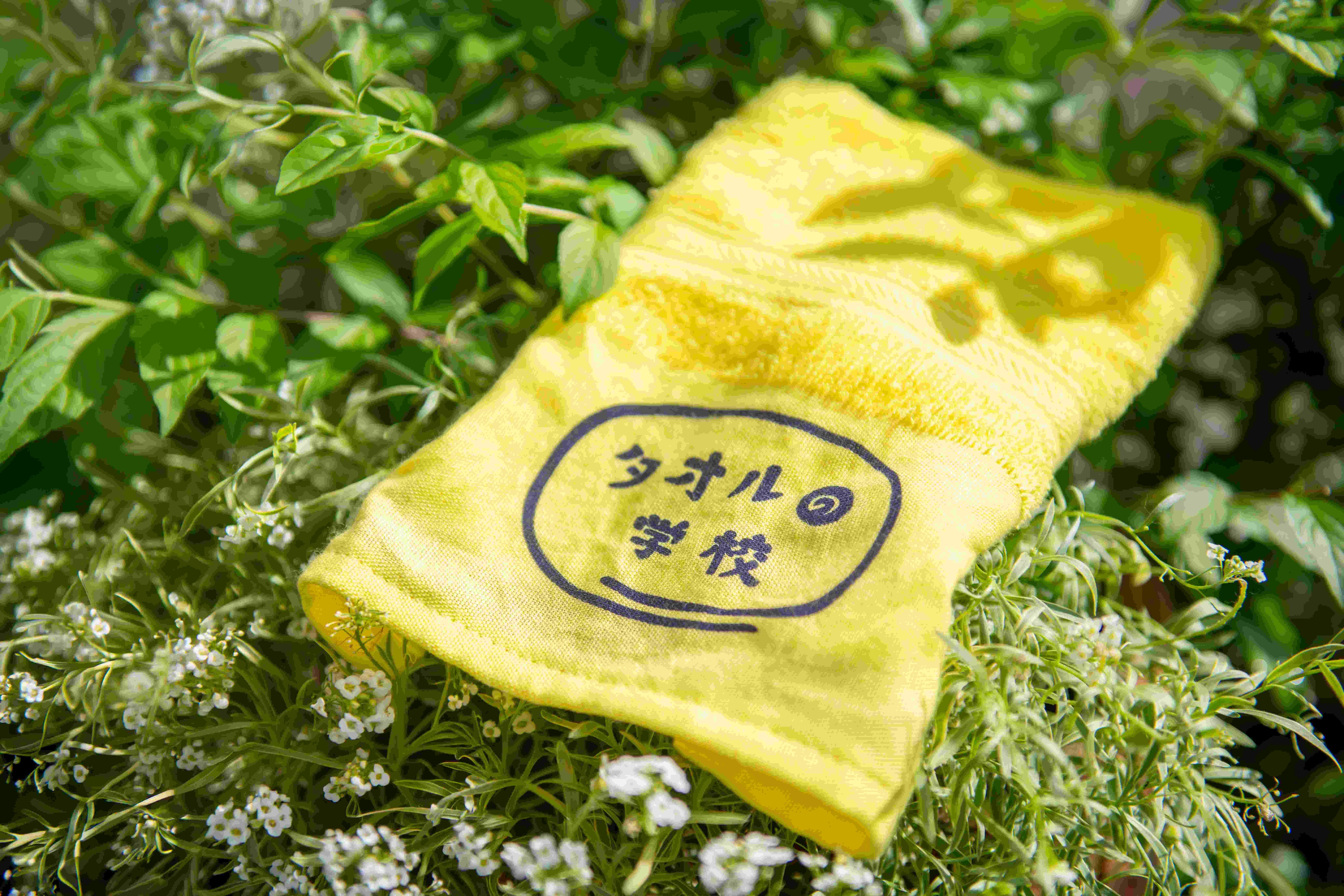 タオルの学校